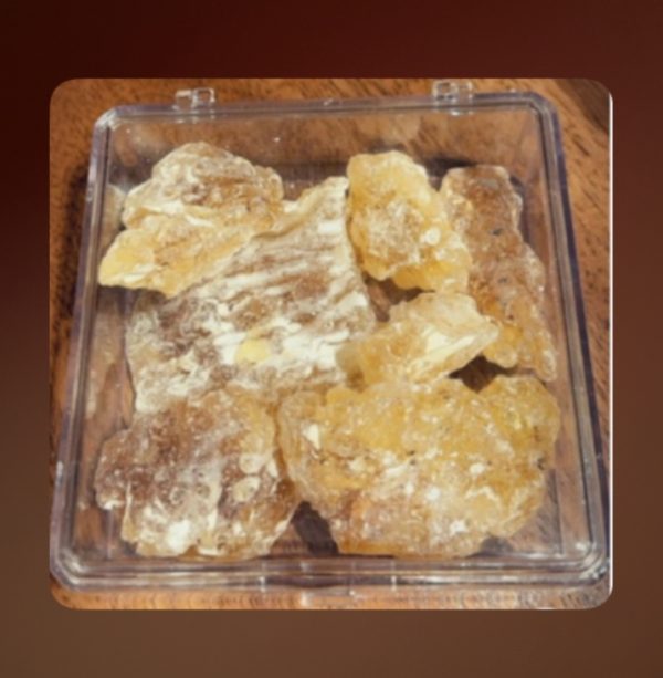 CjYKMlNuYXBjaGF0LzEzLjcyLjAuNTcgKGlQaG9uZTE2LDI7IGlPUyAxOC43LjM7IGd6aXApIAI= علك مستكة كسر كبيرة – نكهة طبيعية وانتعاش يدوم